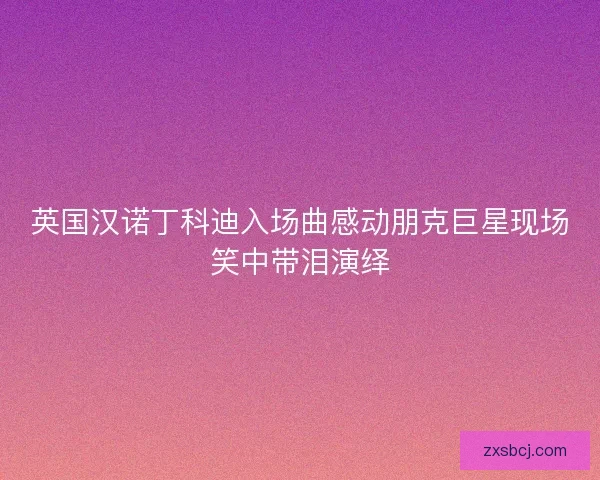 英国汉诺丁科迪入场曲感动朋克巨星现场笑中带泪演绎