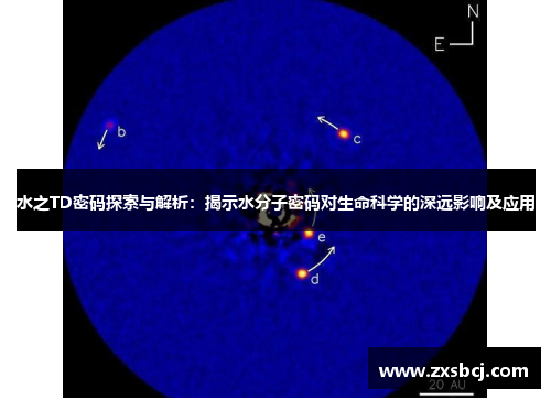 水之TD密码探索与解析：揭示水分子密码对生命科学的深远影响及应用